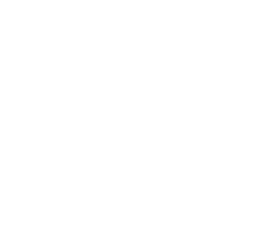 Ask Apparel