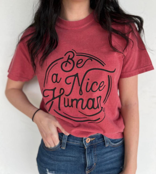 Be A Nice Human Tee ask apparel wholesale 