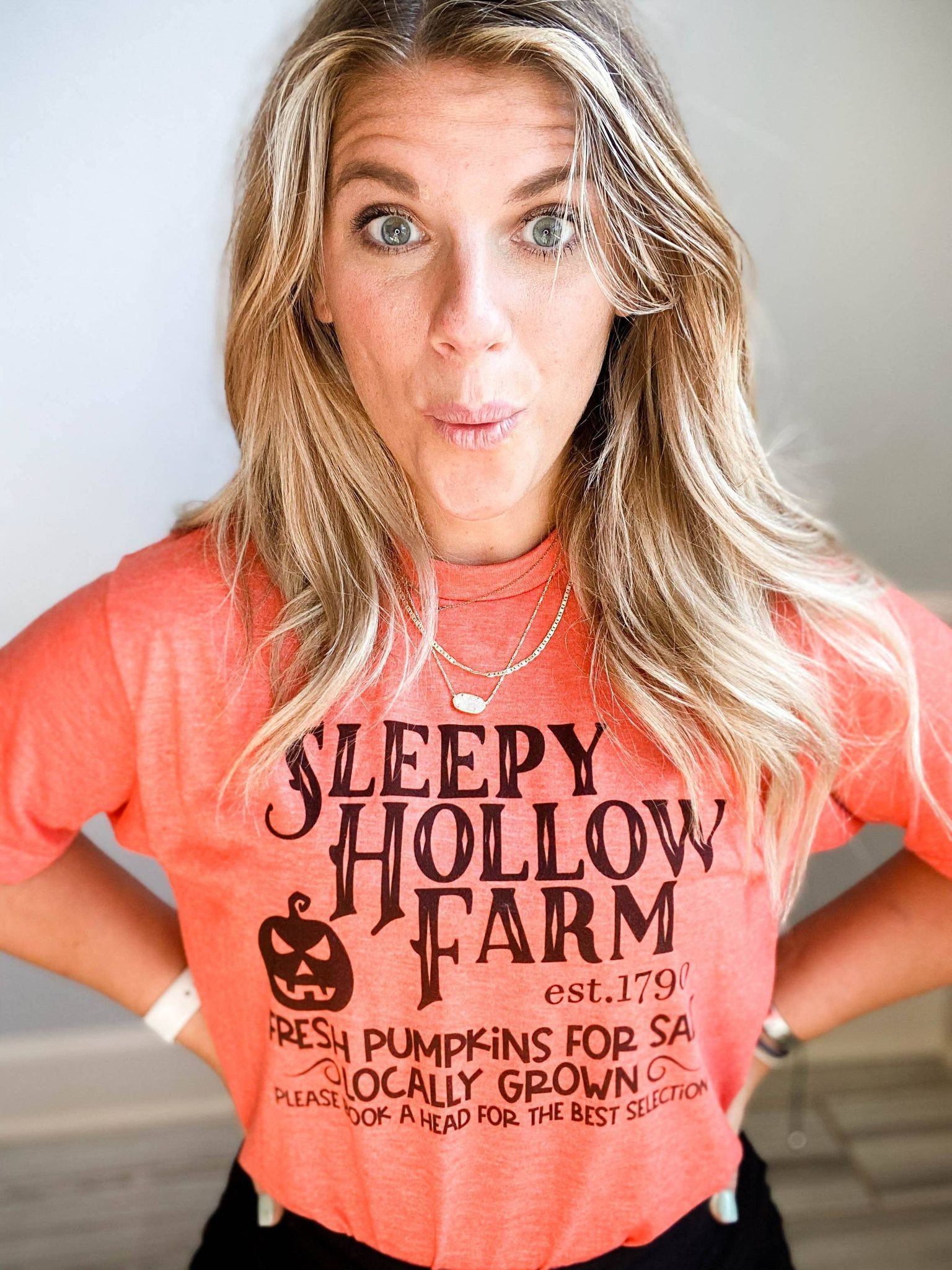 Sleepy Hollow Farm Tee-ask apparel wholesale